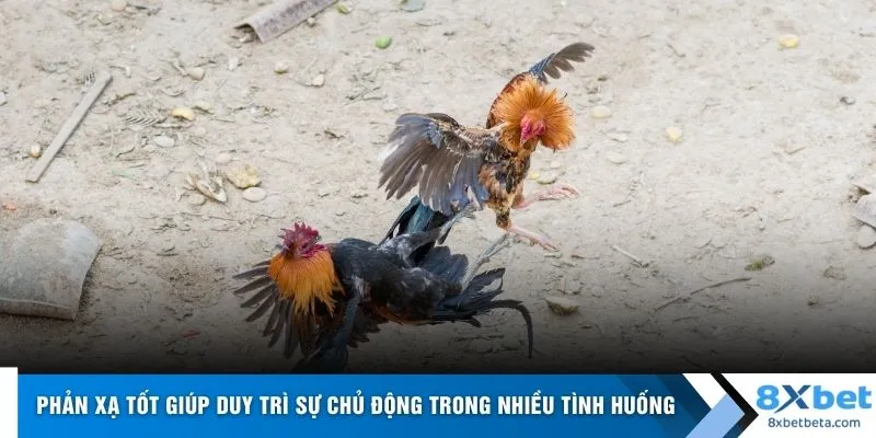 Phản xạ tốt giúp duy trì sự chủ động trong nhiều tình huống